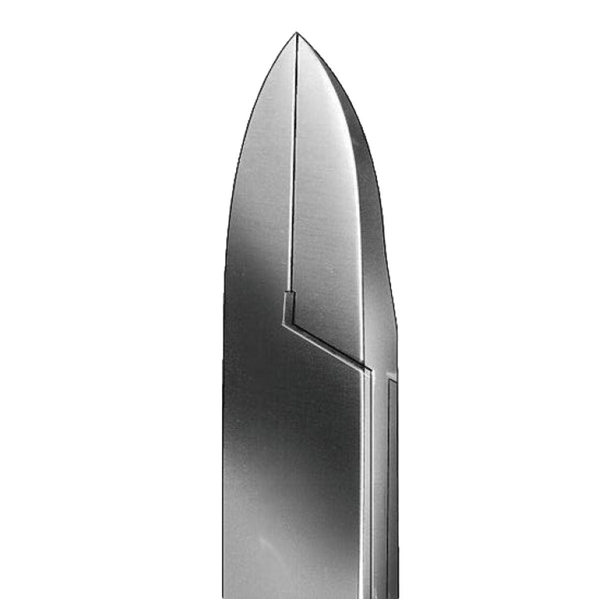 Pince à ongles - Coupe droite - Mors plats - 13 cm - Aesculap - HF478R