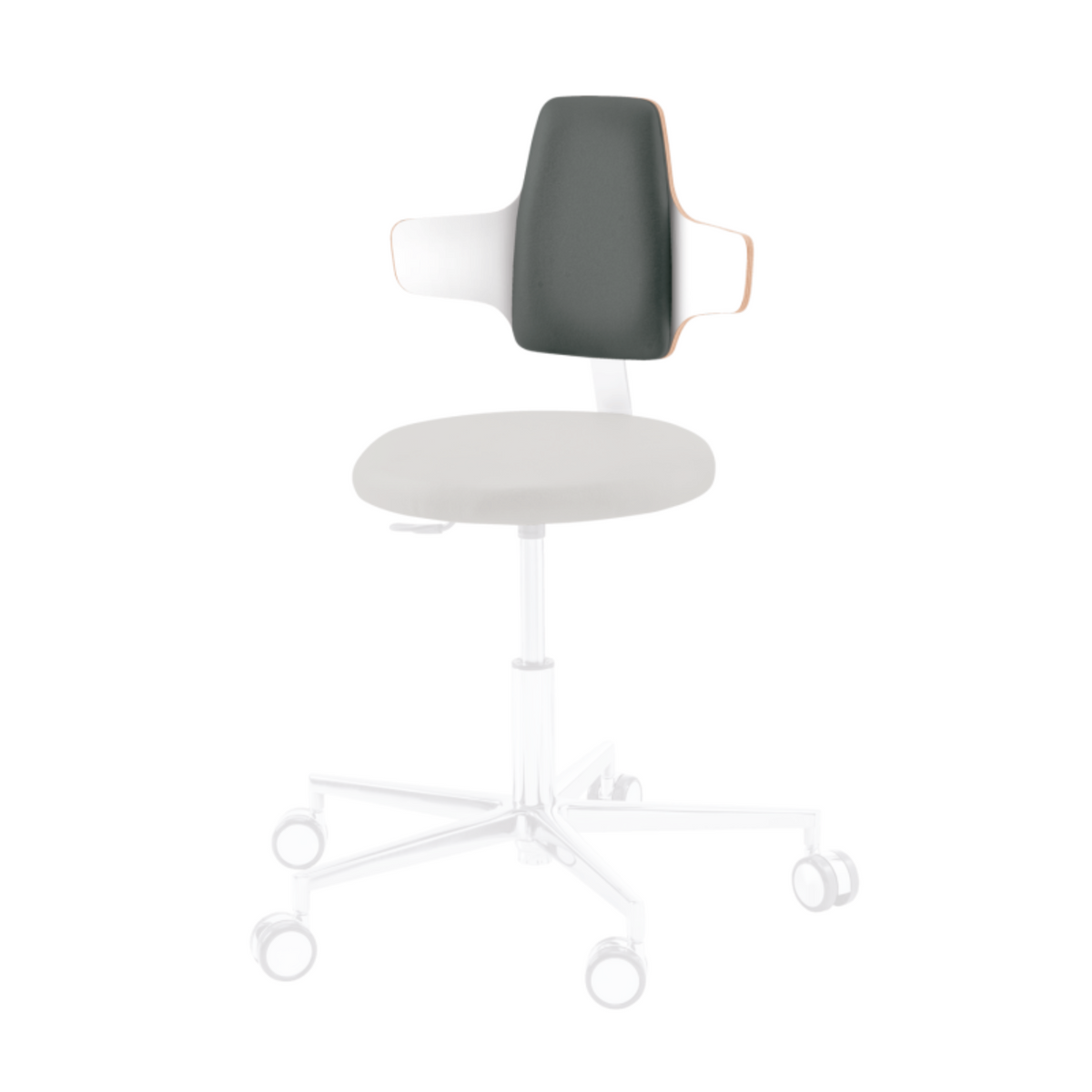 Option - Dossier NAPOLEON - Siège praticien Round, Triangle, Comfort et Dynamic - Ruck