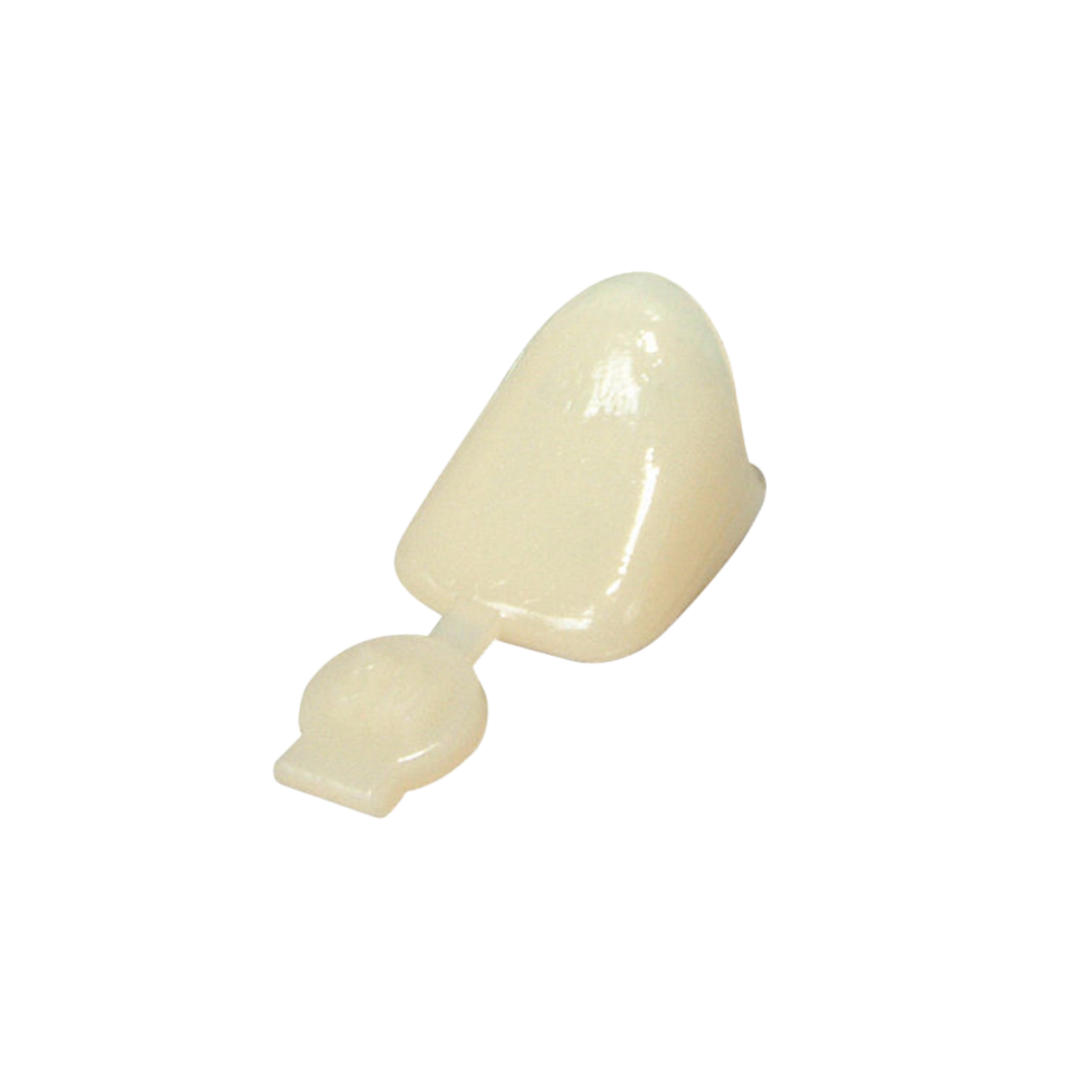Couronne ION Polycarbonate - 5 unités - 3M - My Médical