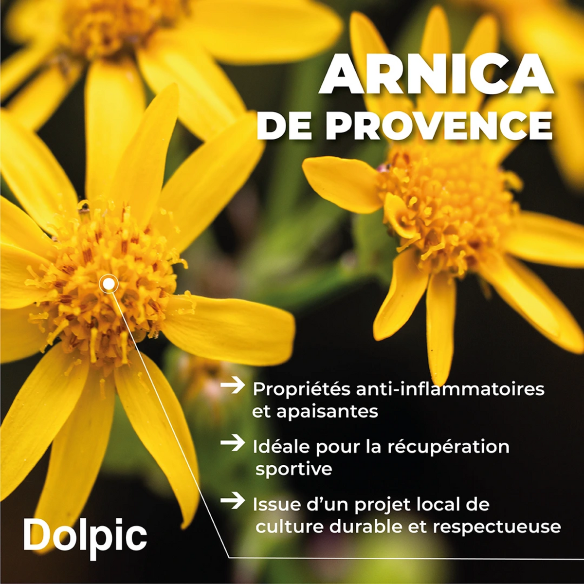 Huile de massage - 100 ml - Dolpic - My Médical